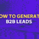 B2B Leads